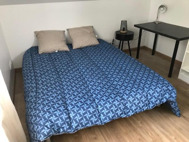Logement T2-Rue-Maisonnette Sncf-Amboise Kültér fotó